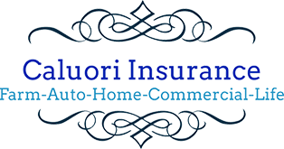 Caluori Insurance