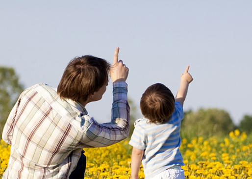 Farm insurance coverage