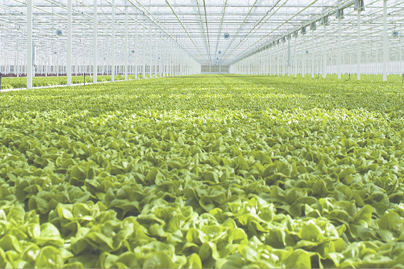 Rhode Island Farm insurance coverage